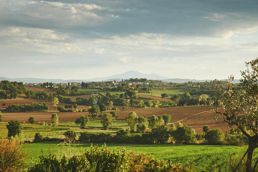 Casa Vacanze B&B Poggio Al Vento Toscana Foiano Della Chiana Esterno foto